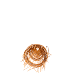 BRC Wire Mesh - Image 2